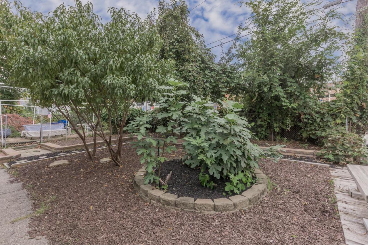 Apartmán In The Heart Of Little Italy! Free Parking! Cleveland Exteriér fotografie